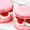 2 macarons framboise*Picard Best
