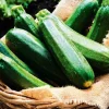 Courgettes bio local*Picard Hot