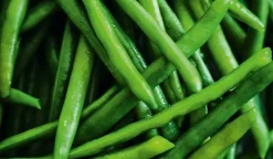 Haricots verts extra-fins, France*Picard Best