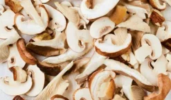 Mélange de champignons bio*Picard Online