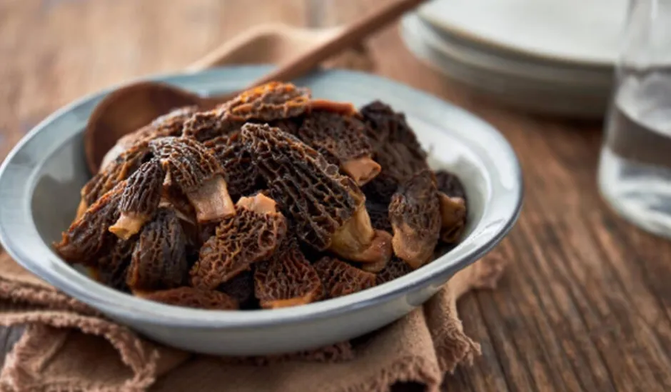 Morilles*Picard Hot