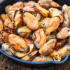 Moules du Pacifique cuites décoquillées ASC, Chili*Picard Online
