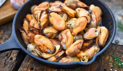 Moules du Pacifique cuites décoquillées ASC, Chili*Picard Online