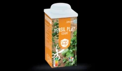Persil plat coupé*Picard Hot