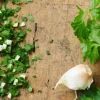 Persillade, persil, ail*Picard Online