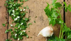 Persillade, persil, ail*Picard Online