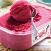 Sorbet fruits rouges*Picard Hot