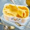 Sorbet mangue*Picard Hot