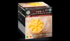 Sorbetto al Mandarino, sorbet mandarine de Ciaculli*Picard Best